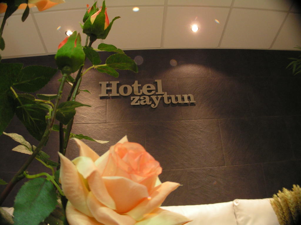 Hotel Zaytun Mequinenza Eksteriør billede
